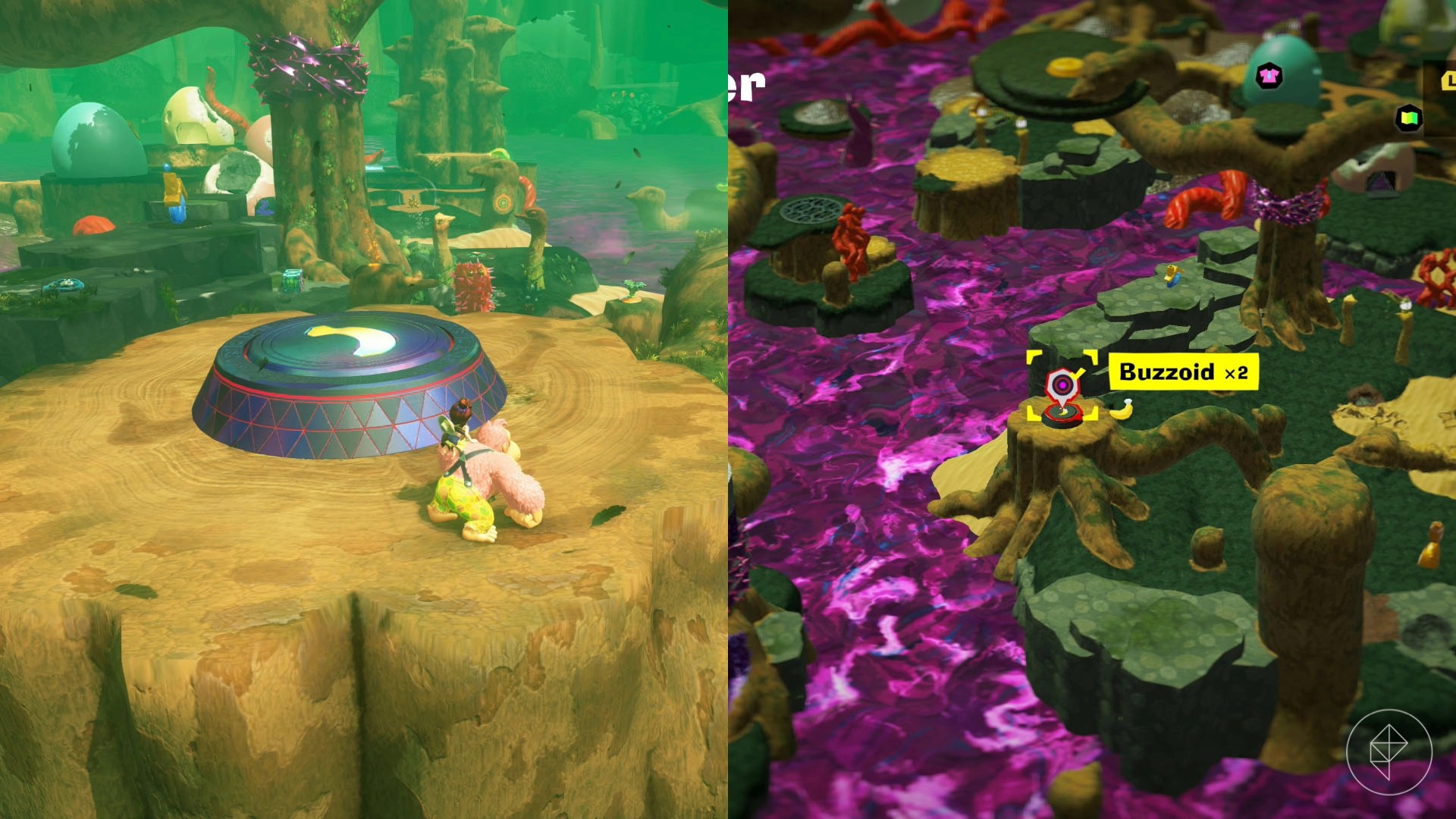 DK and Pauline stand near the entrance to a combat course on top of a huge tree stump in Donkey Kong Bananza.