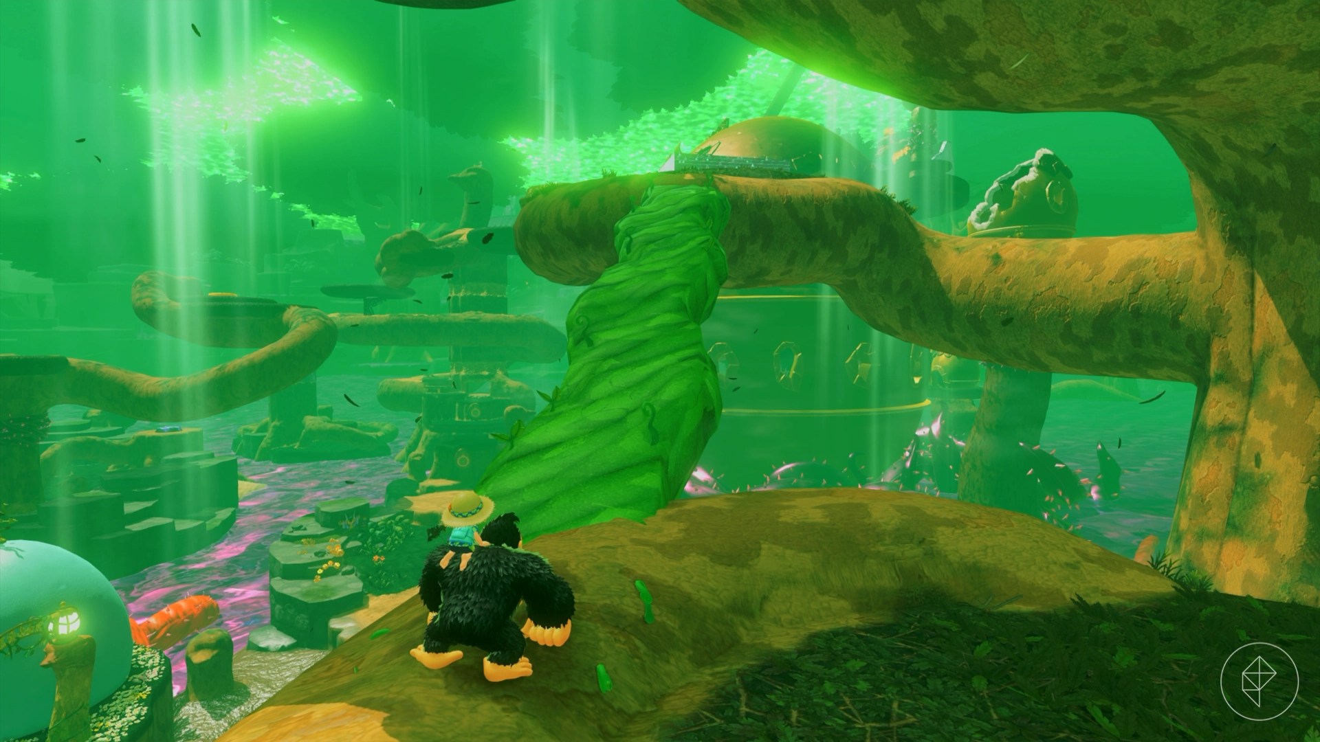 A pit seed vine path opens up in front of DK, connecting a part of a tree in Donkey Kong Bananza.