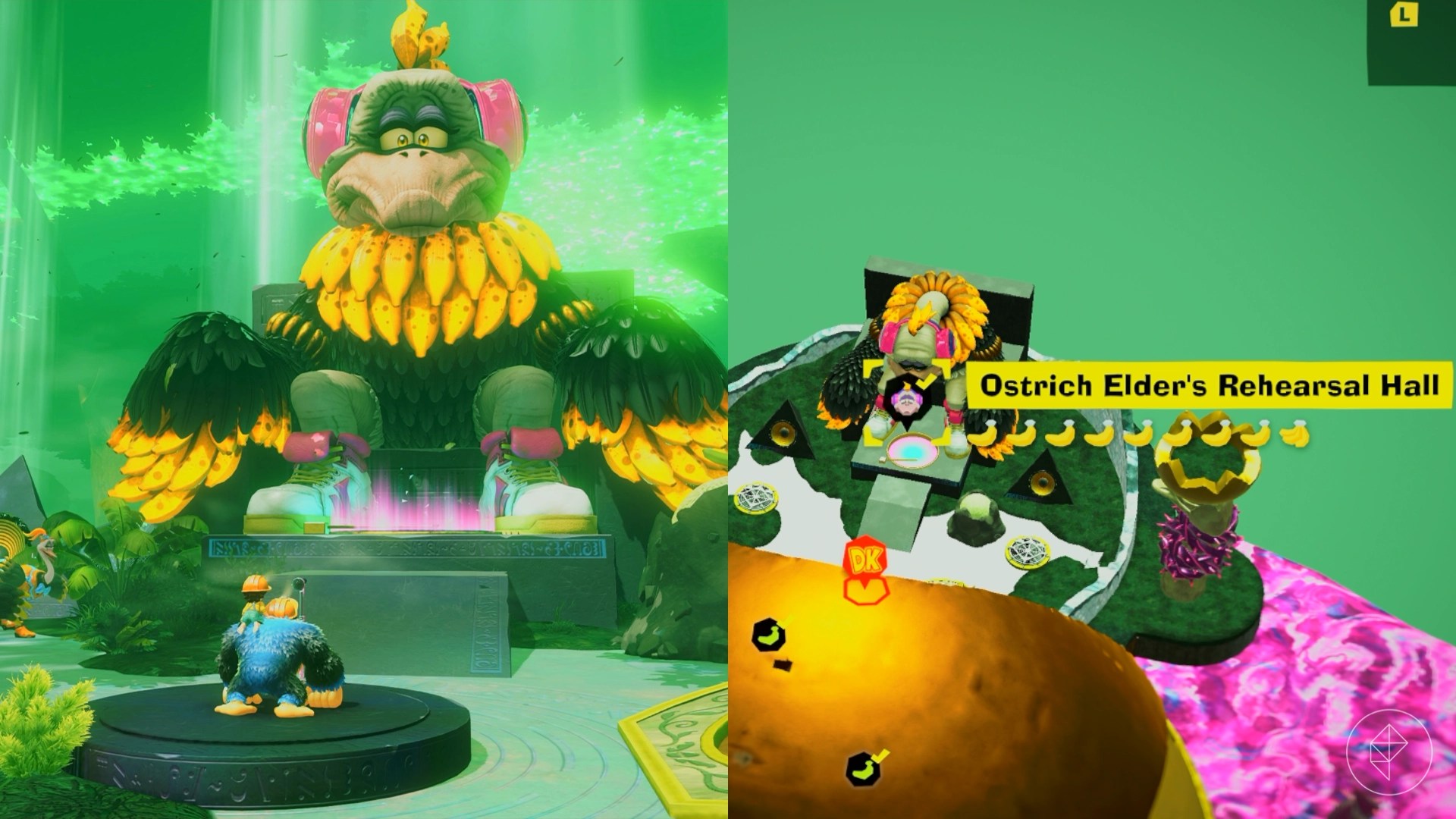 Donkey Kong standing in front of the Ostrich Elder.